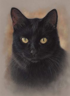 a black cat with yellow eyes looking at the camera