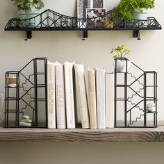 some books and plants are sitting on a shelf