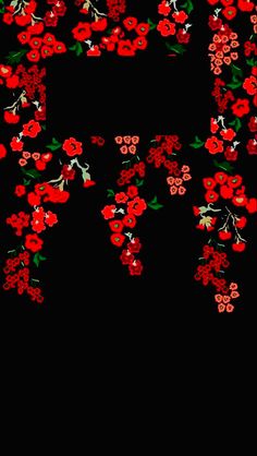 red flowers are arranged in the shape of a frame on a black background with space for text