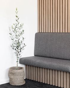 a plant in a basket next to a gray bench and wooden slatted wall