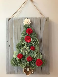 a christmas tree made out of succulents hanging on a wall