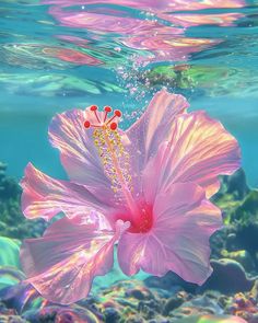 a pink flower floating in the water with bubbles on it's head and bottom