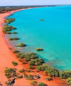 an aerial view of a beach with many trees in the foreground and blue water on the far side