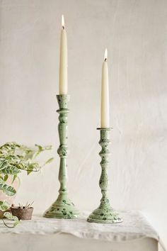 two candles are sitting on a table next to a potted plant