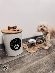 a white dog standing next to a can with food in it's mouth on the floor