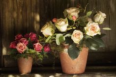 two potted flowers sitting on top of a window sill next to each other