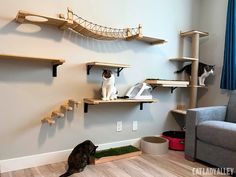 two cats sitting on shelves in a living room