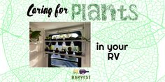 an advertisement for plants in your rv with the text caring for plants in your rv