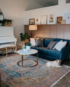 a living room filled with furniture and a dog laying on top of a blue couch