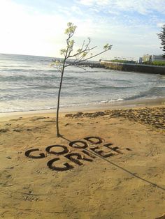 a tree that is sitting in the sand with some writing on it and water behind it