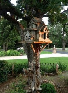 a tree house built into the side of a tree in a yard with lots of grass