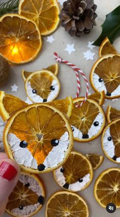 orange slices decorated with foxes and pine cones are being held by someone's hand