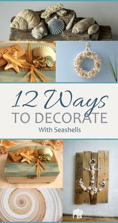 twelve ways to decorate with seashells