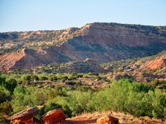 the mountains are covered with trees and bushes in front of some rocks, grass and dirt