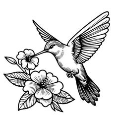 a black and white drawing of a hummingbird flying over flowers with its beak open