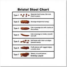 Shop Bristol Stool Chart bristol-stool-chart posters and art prints designed by Petra and Imata as well as other bristol-stool-chart merchandise at TeePublic. Bristol Stool, Bristol Stool Chart, Stool Chart, Health Diet Plan, Healthy Life Hacks, Natural Antibiotics, Diy Skin Care, Health And Fitness Tips, Health Diet