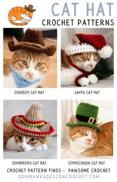 four cats wearing hats and scarves with caption that says cat hat crochet patterns