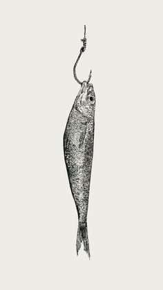 a black and white drawing of a fish with a hook in it's mouth