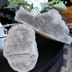 Grey Ugg Sandals . Fluffy And Soft ! Nwot Grey Ugg, Ugg Sandals, Shoes Ugg, Ugg Shoes, Womens Uggs, Cute Shoes, Women's Shoes Sandals, Shoes Sandals, Slippers