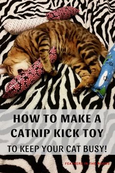 a cat laying on top of a zebra print blanket with the caption how to make a catnip kick toy to keep your cat busy