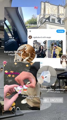 the collage shows several different pictures and people in their cars, including one with a cat