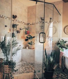 a bathroom with a glass shower door and plants on the floor in front of it