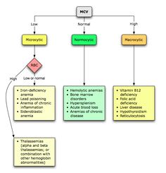 a diagram showing the different types of nematic and other things that can be found in