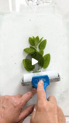 a person is using a paint roller to paint a plant on a white wall with green leaves