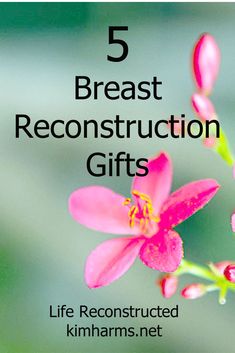 Don't know what to give your friend whose going through breast reconstruction? Here are 5 breast reconstruction gifts that made my life better. Turning 40, Fact Sheet, Body Image, 5 Things, Plastic Surgery, Cancun