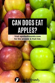 green and red apples stacked on top of each other with text overlay that reads can dogs eat apples? visit spoiled com for the answer & fruit list