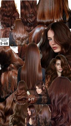 Igora Hair Color, Cinnamon Brown Hair, Cherry Brown Hair, Copper Brown Hair Color, Cinnamon Hair Colors, Copper Brown Hair, Copper Hair Dark, Light Auburn Hair, Cherry Hair Colors