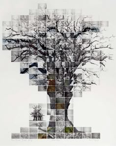 a tree is shown with many squares in the shape of its trunk and leaves on it