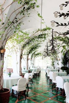 the restaurant is decorated with green plants and white tables