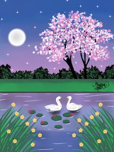 two white swans swimming in a pond under a tree with pink flowers and green leaves