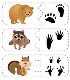 an animal and hand printable worksheet for kids