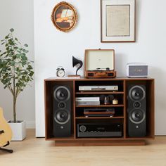 an entertainment center with speakers and a guitar on the floor next to a potted plant