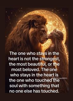 Lioness Quotes, Sweet Quotes For Boyfriend, Soulmates Art, Osho Love, Love My Wife Quotes, Thought Pictures, Inspirational Life Lessons, Unique Words Definitions