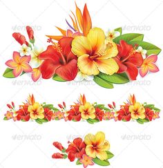 a set of tropical flowers and leaves on a white background, including red and yellow orchids