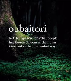 the words obbattorii are in front of a tree and some green grass