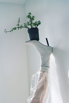 a white boot with a plant growing out of it's side hanging on a wall