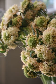 a bunch of flowers that are in a vase