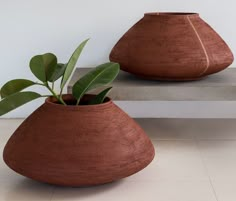 two brown vases with plants in them sitting on the floor next to each other