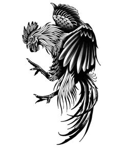 a black and white drawing of a bird with wings spread out, on a white background