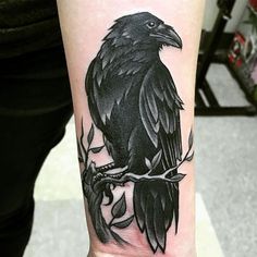 a black bird sitting on top of a branch with leaves in it's claws