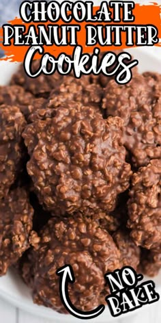 no bake chocolate peanut butter cookies in a white bowl with the title above it