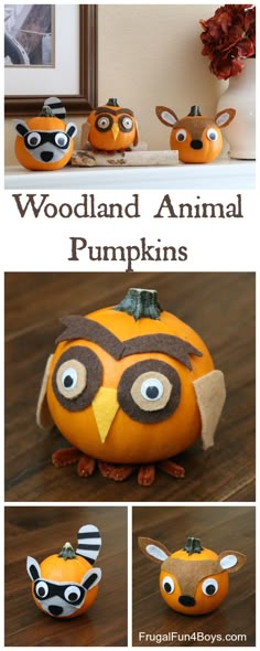 some pumpkins that are made to look like animals