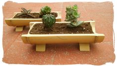 three wooden planters with succulents in them sitting on the ground next to each other