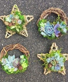 four small wreaths with succulents and plants in them on the ground