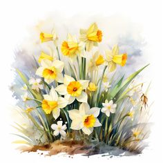 watercolor painting of daffodils and grass