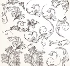 a set of vintage floral design elements